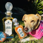 Top Tequila