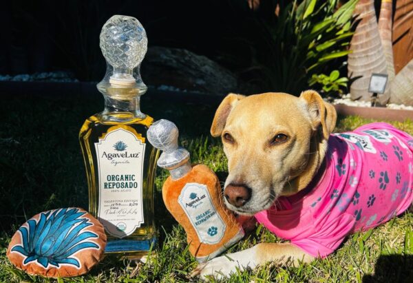 Top Tequila
