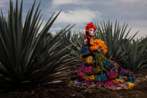 History of AgaveLuz Tequila