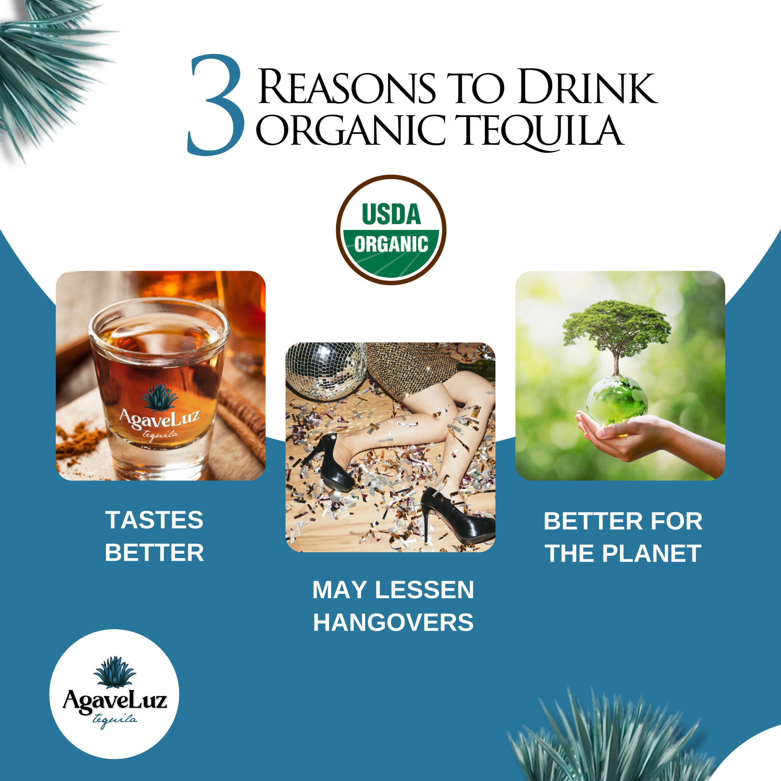 Why Drink AgaveLuz Organic Tequila?