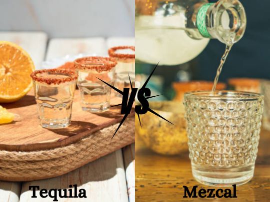 tequila vs mezcal