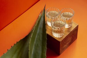 tequila vs mezcal