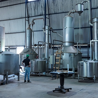 Organic Tequila Distillation