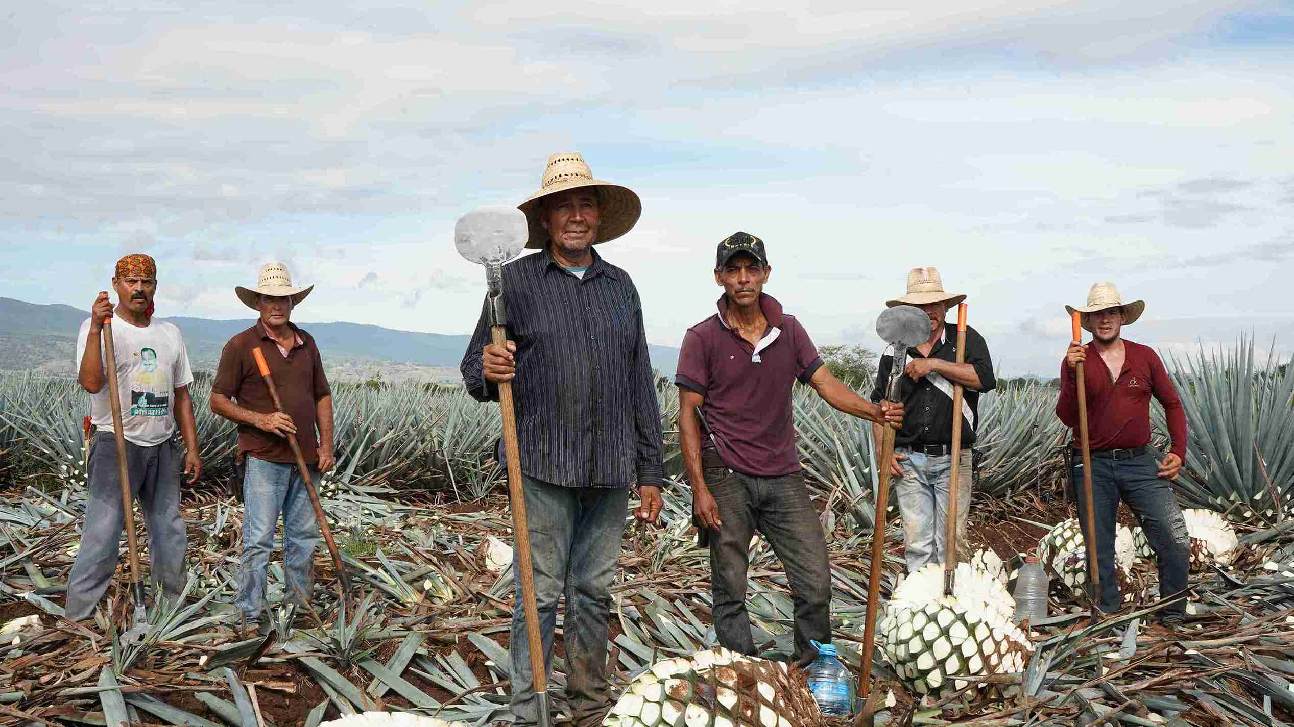 AgaveLuz Tequila Team