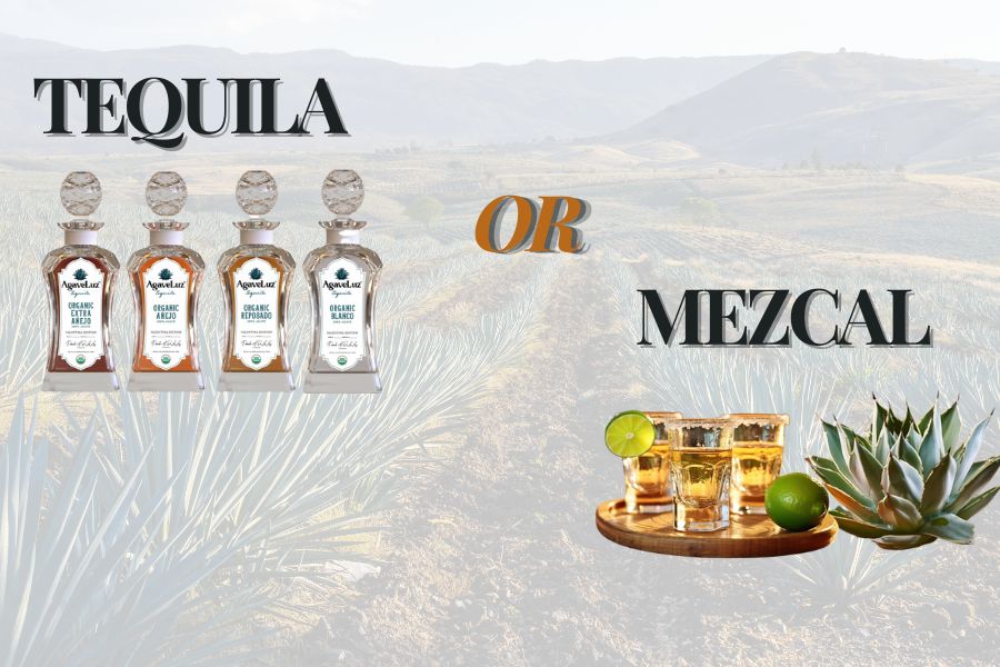 tequila or mezcal