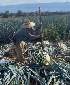 artisanal tequila