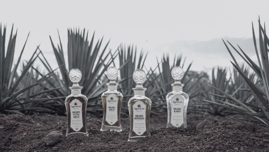 Organic small batch tequila