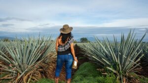 Pure organic tequila