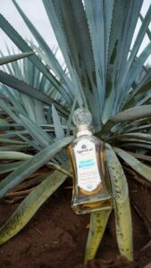 Organic craft tequila