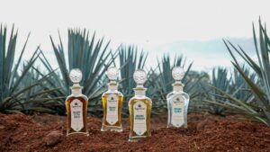 Fine tequila tasting