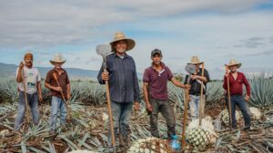 Additive-free organic tequila