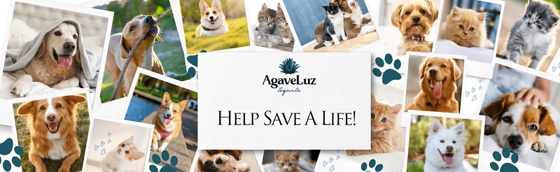 Agaveluz Humane Society Donation