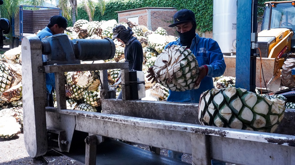 Tequila purity process