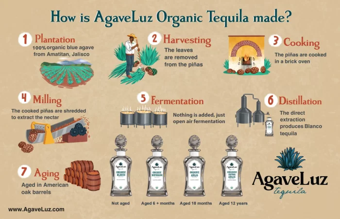 AgaveLuz organic tequila Process