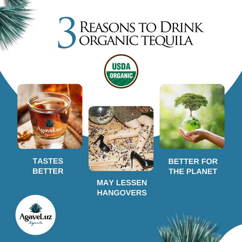 Why AgaveLuz Organic Tequila Is Better