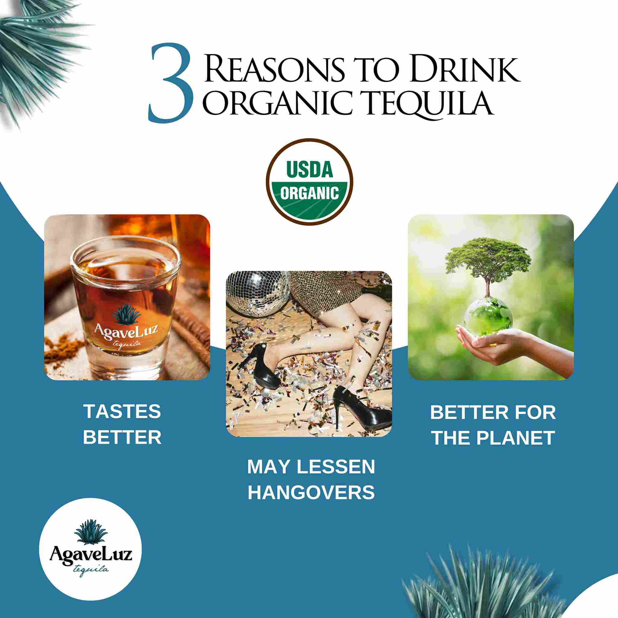 Why AgaveLuz Organic Tequila Is Better