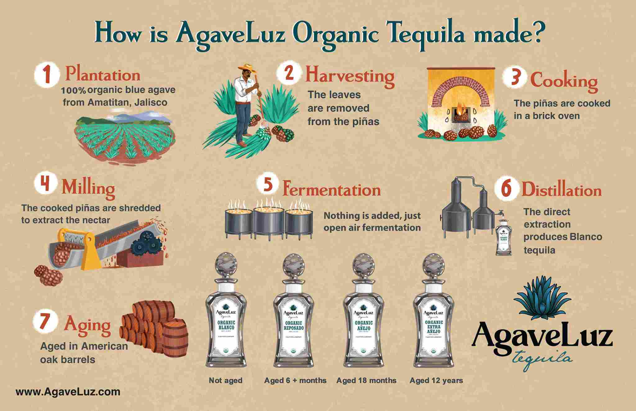 The Art Of Crafting True Tequila