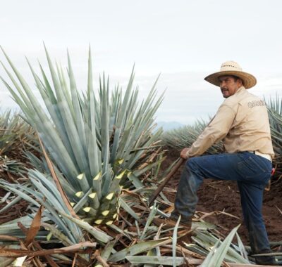 3 Reasons to choose tequila - 1