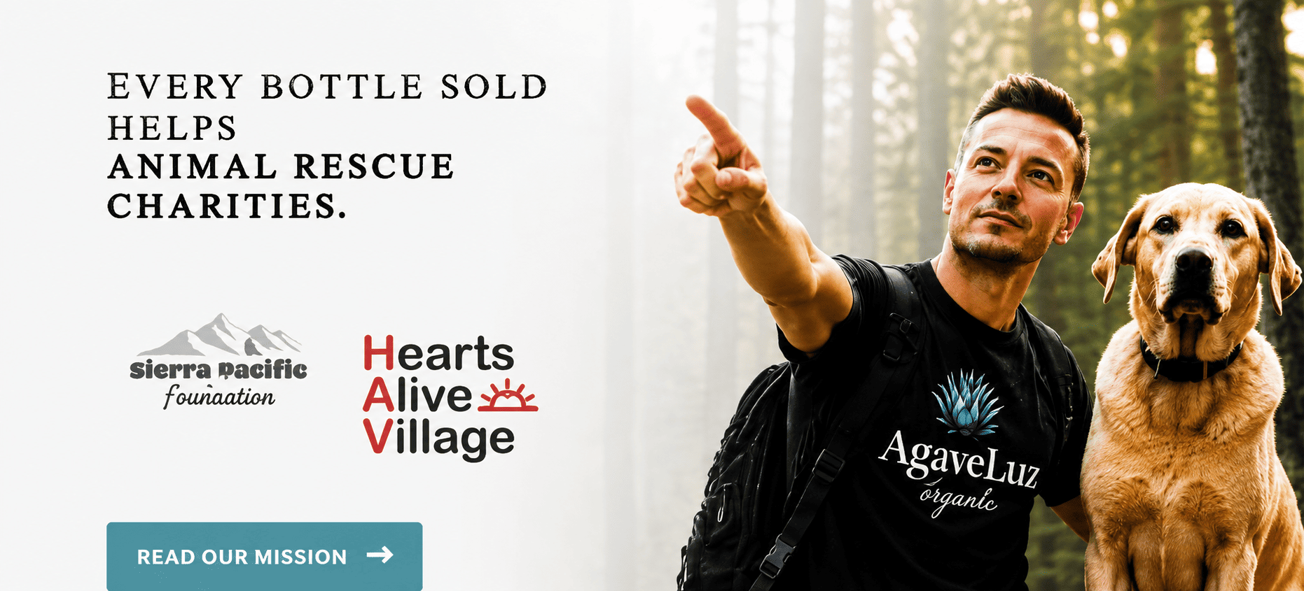 Hearts Alive Village