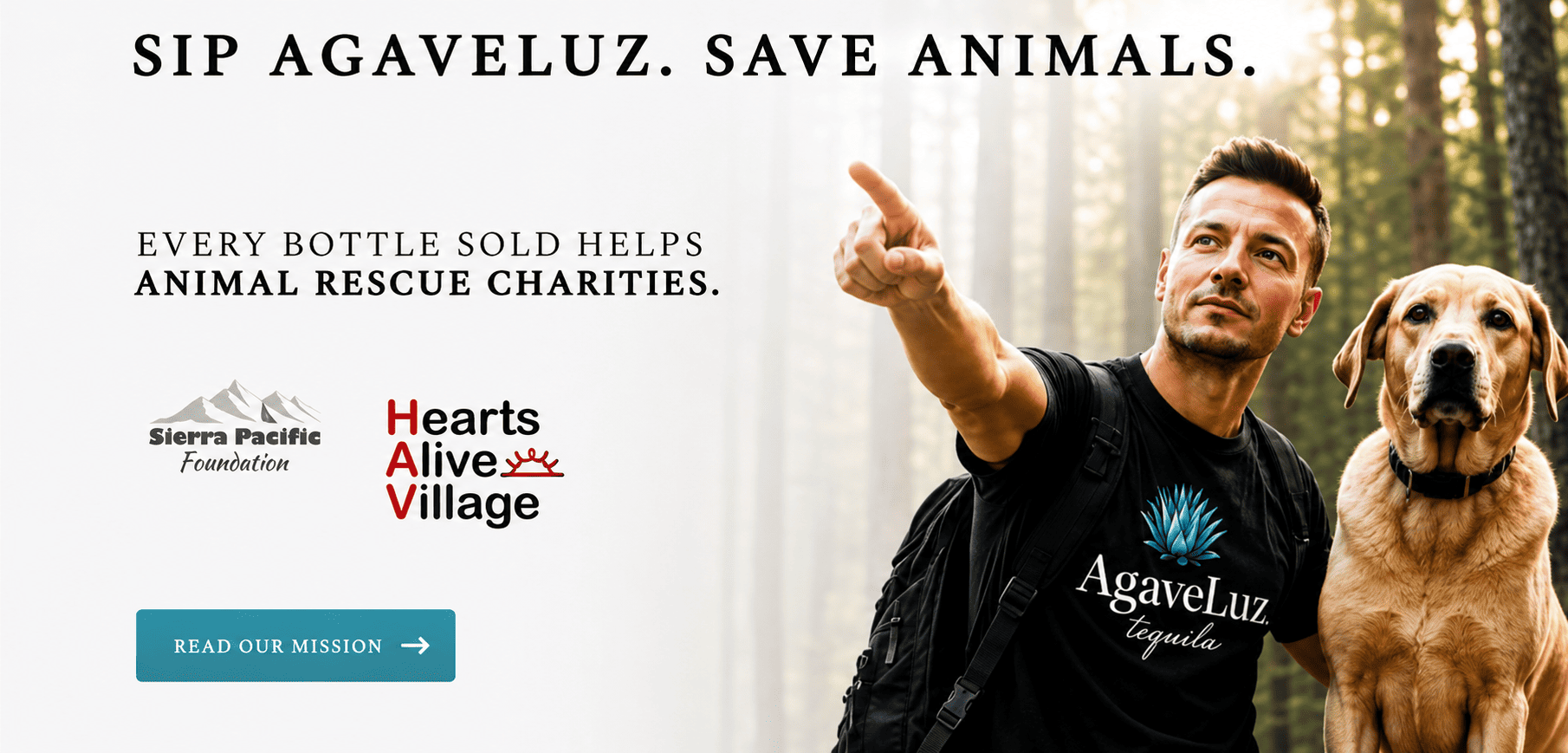Hearts Alive Village